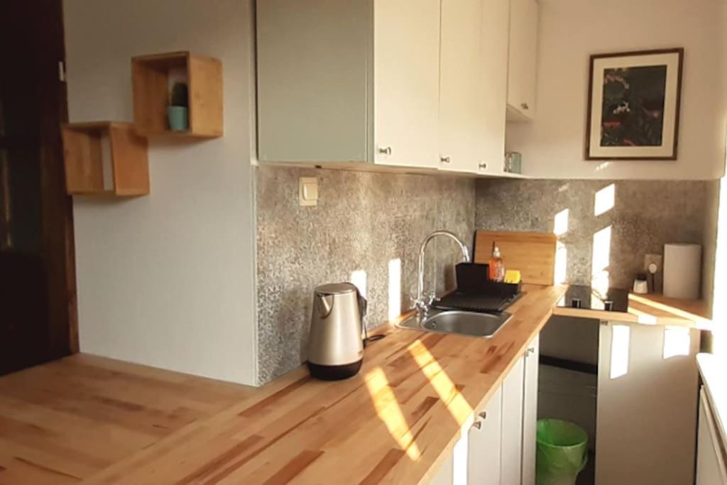 Lemuria Apartament Szkolna Centrum Legnica Eksteriør bilde