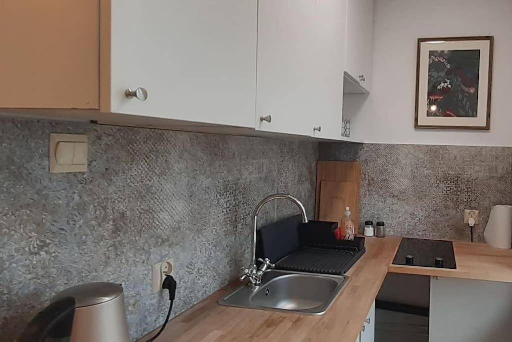 Lemuria Apartament Szkolna Centrum Legnica Eksteriør bilde