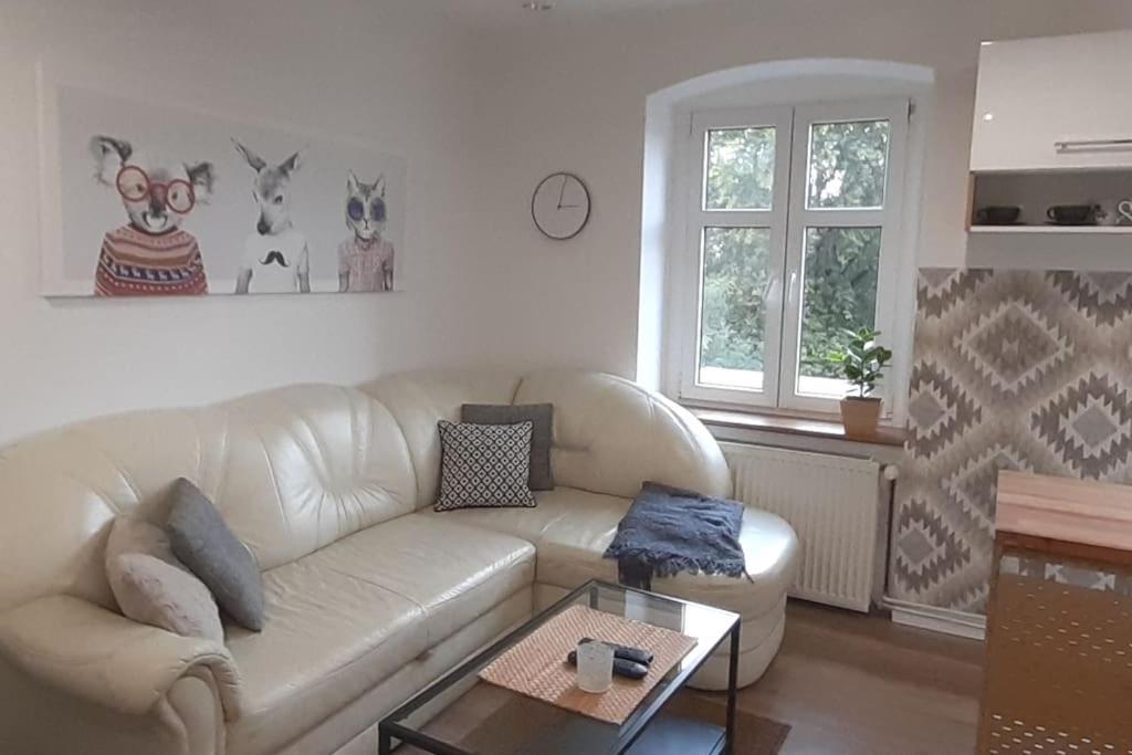 Lemuria Apartament Szkolna Centrum Legnica Eksteriør bilde