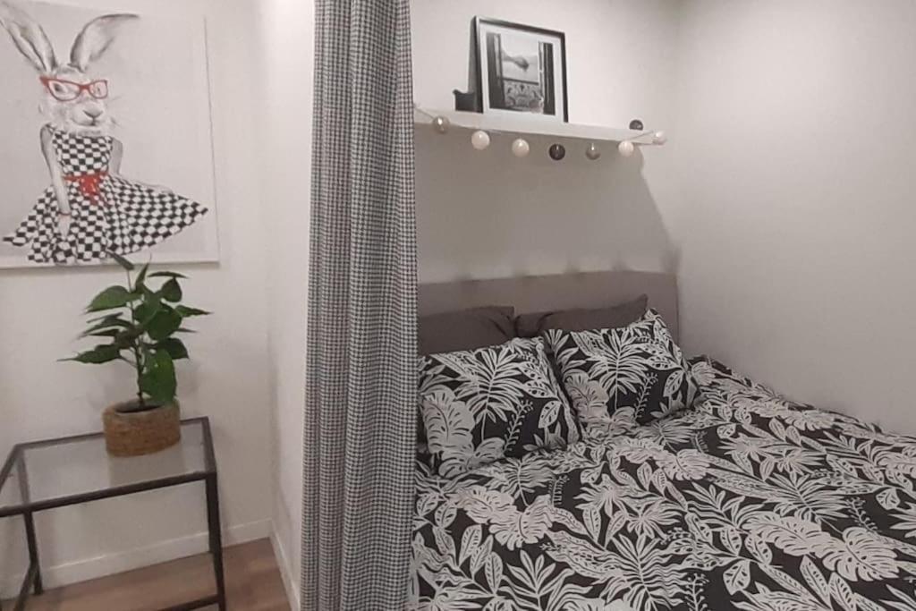 Lemuria Apartament Szkolna Centrum Legnica Eksteriør bilde